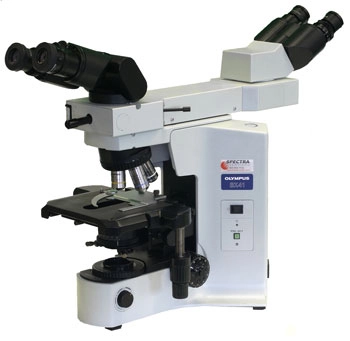 Olympus BX41 Dual Viewing Microscope