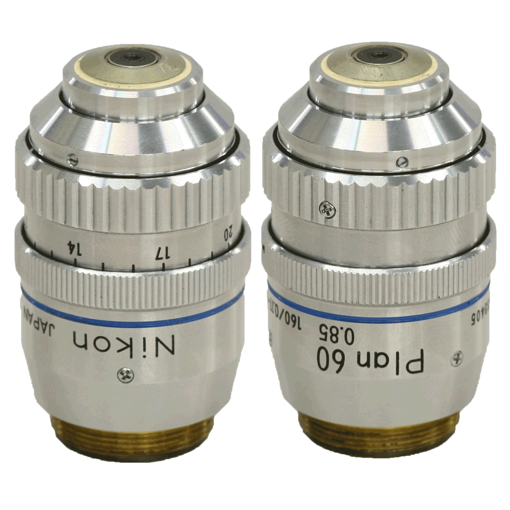 Nikon CF Plan Achromat 60x/0.85na Objective