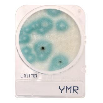 Hardy Diagnostics Prepared Plates - CompactDry™ YM Rapid Yeast and Mold