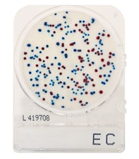 Hardy Diagnostics Prepared Plates - CompactDry™ EC E. coli and Coliforms