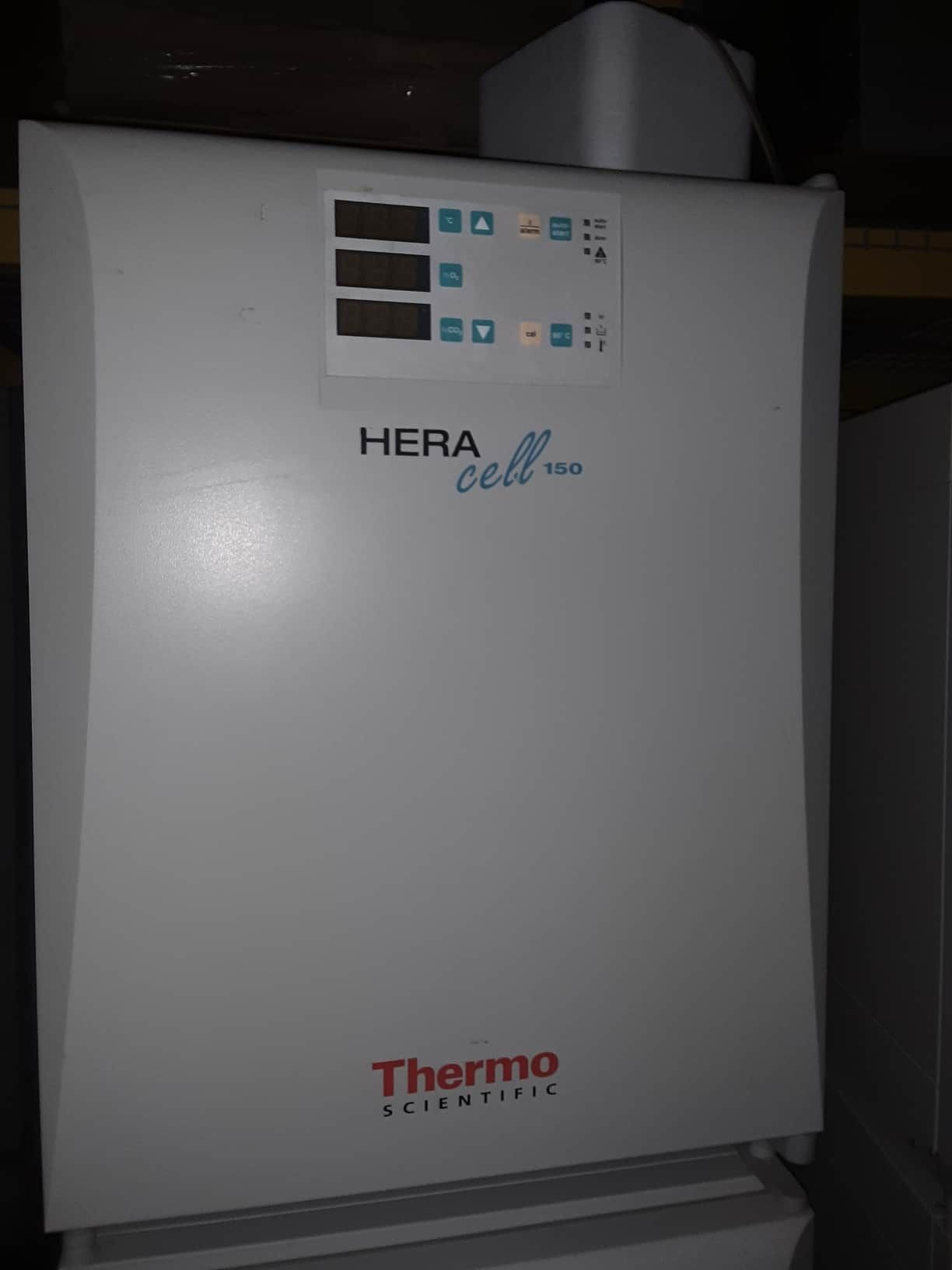 Thermo Heracell 150 tri-gas C02 incubator
