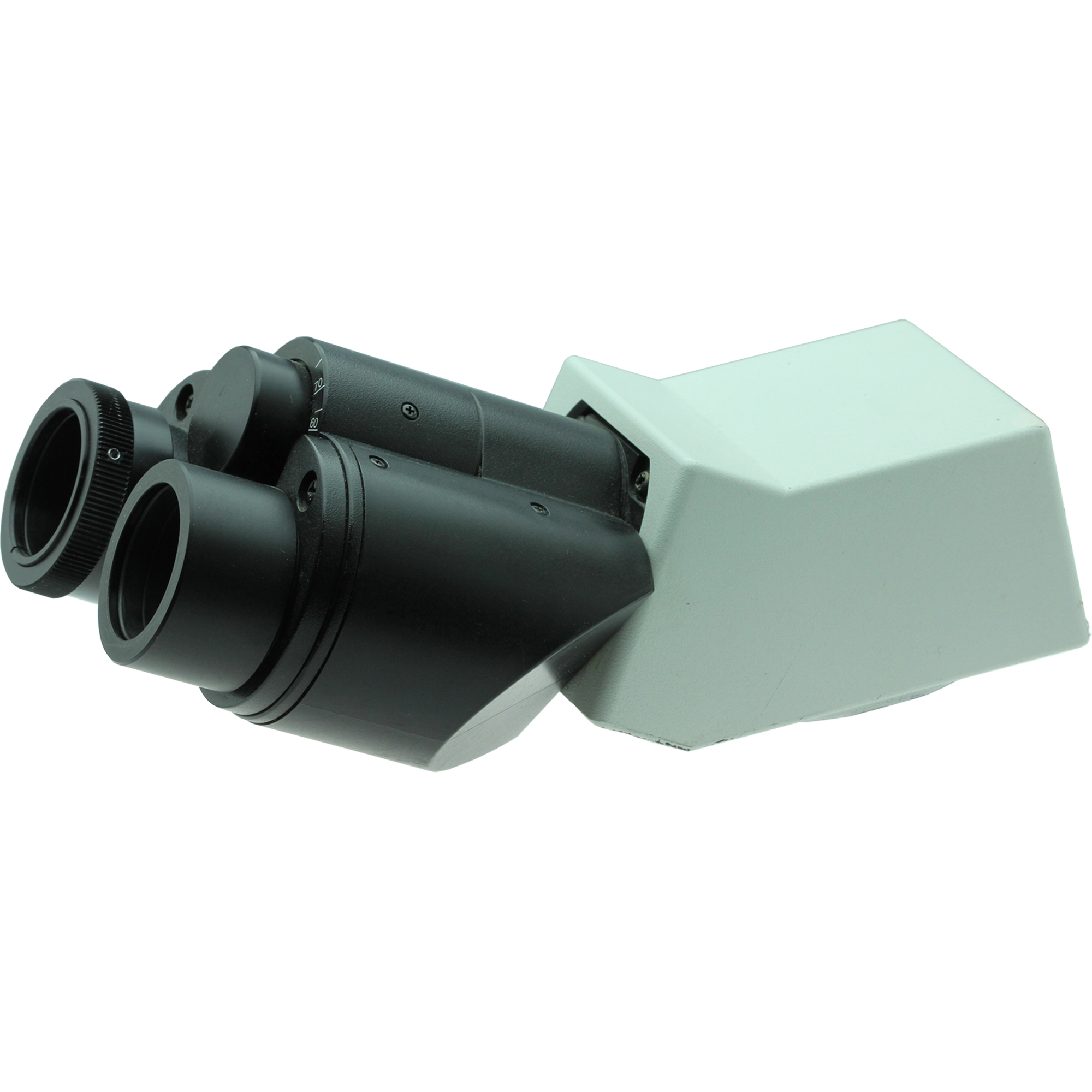 Olympus U-BI30-2 Binocular Head