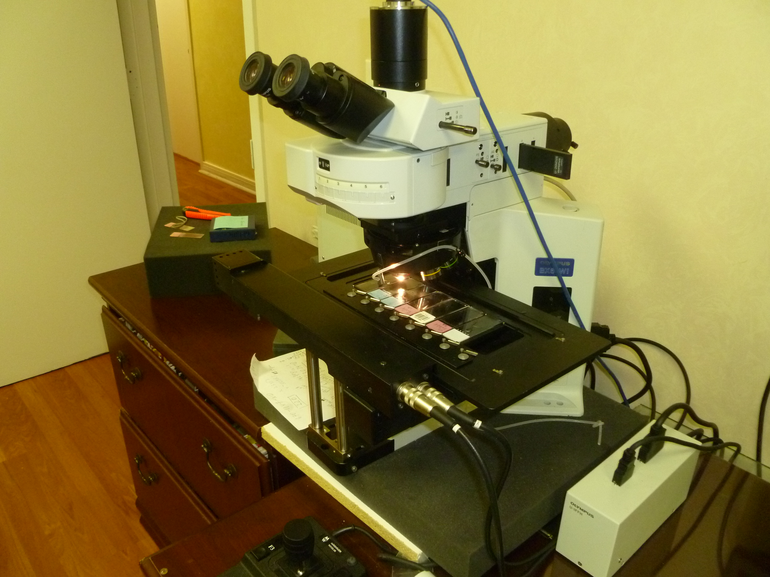 Olympus BX51WI  BX61WI fluorescent DIC microscope