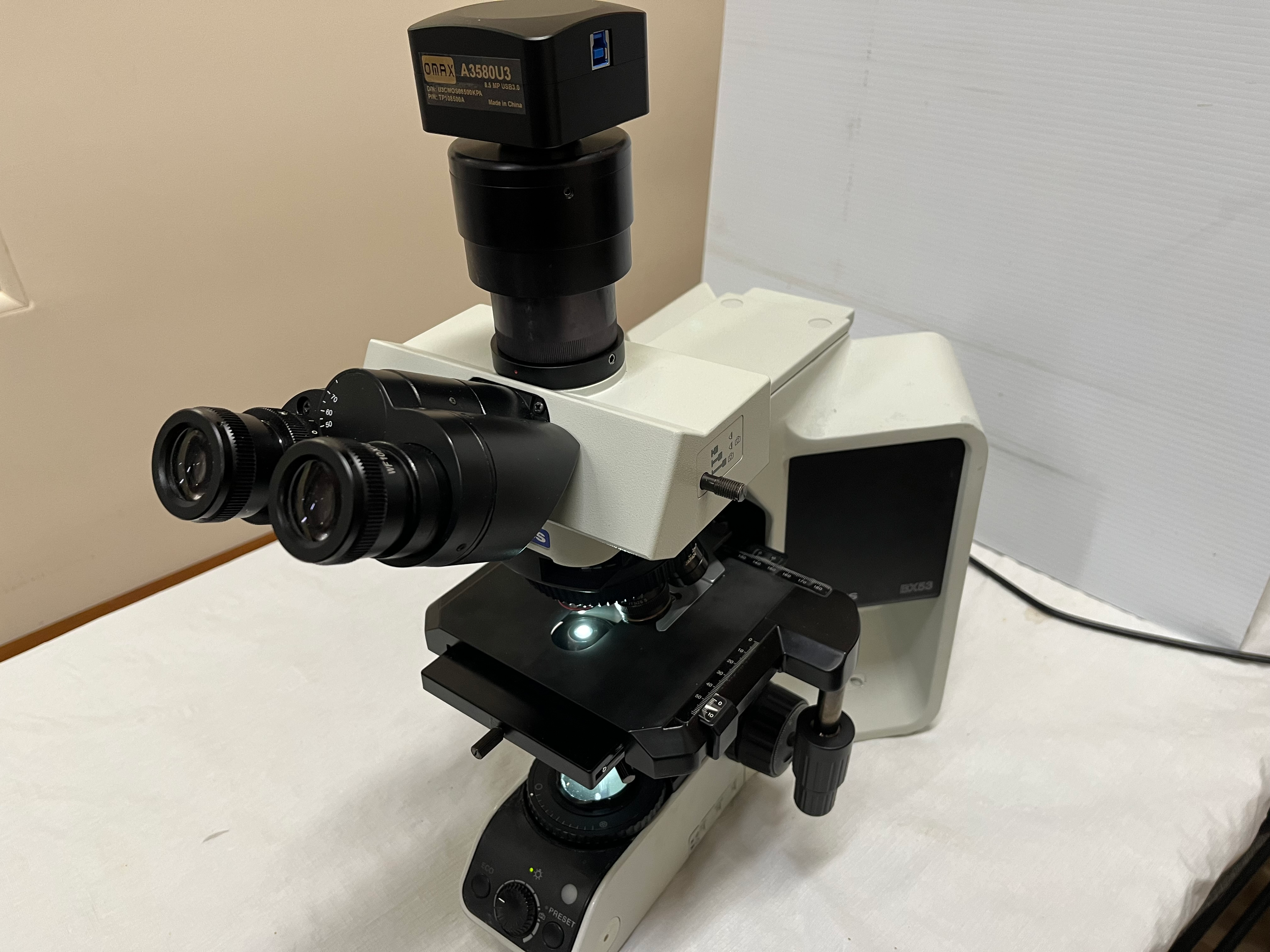 Olympus BX53 microscope