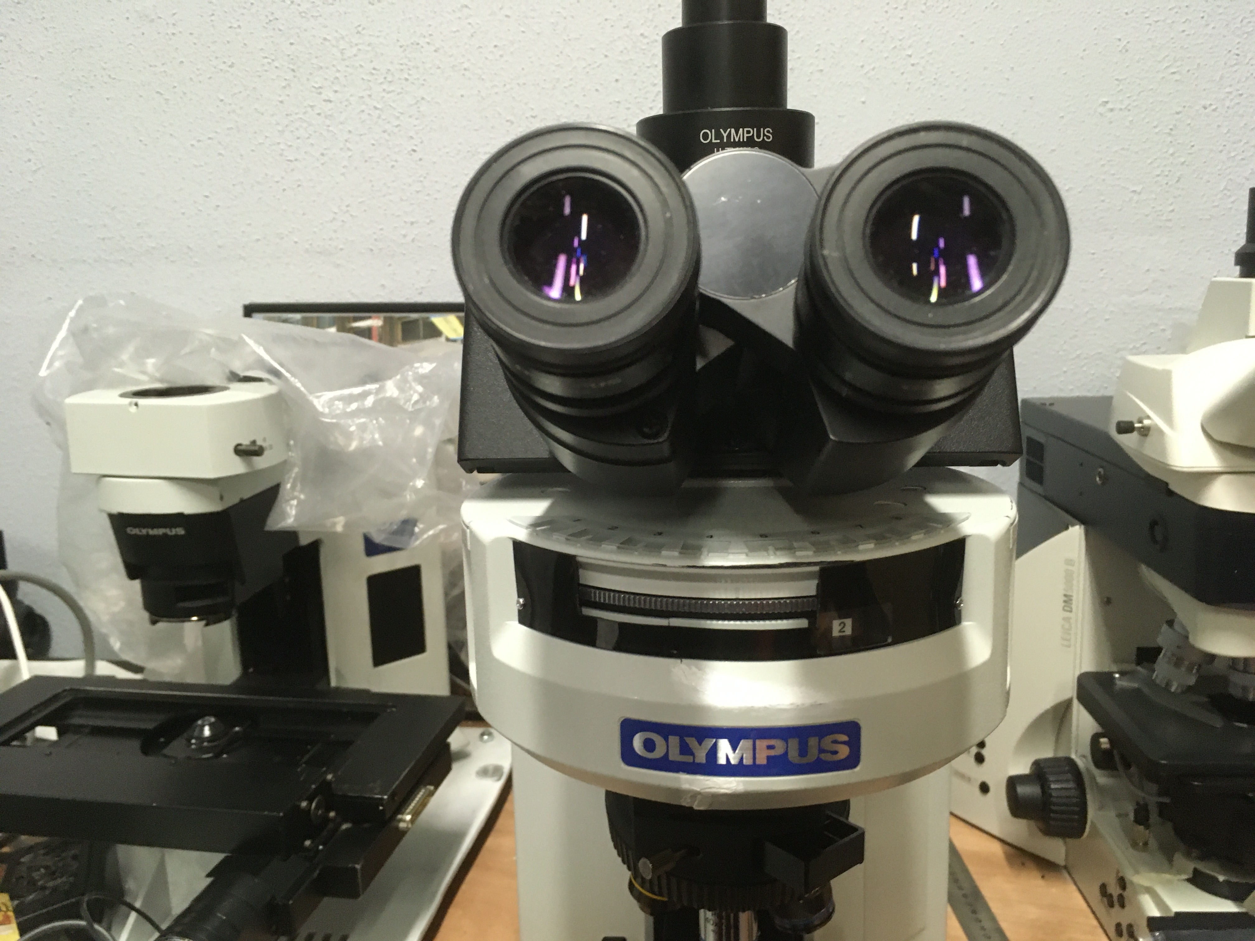Olympus BX51WI microscope