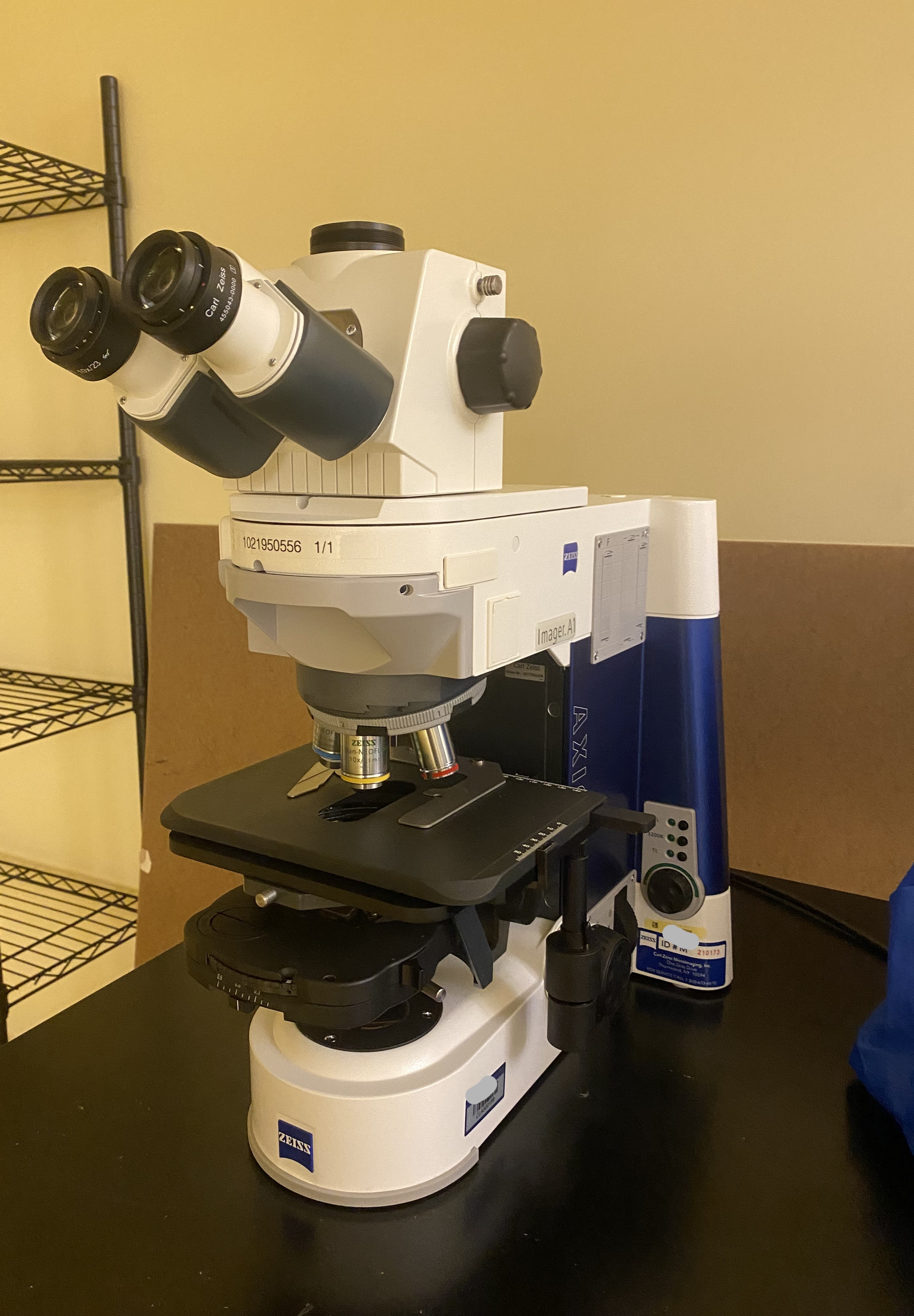 Zeiss Axio A1 Microscope