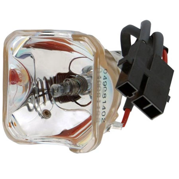 Nikon C-LHGF I HG Intensilight Lamp MBF74650 | LabX.com