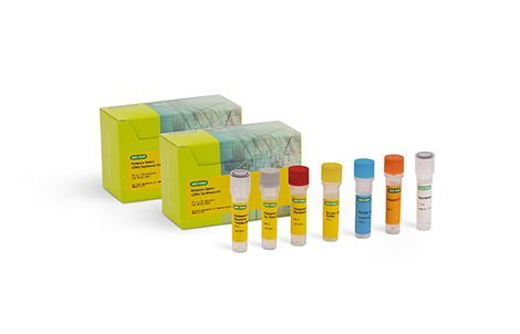 Reliance Select cDNA Synthesis Kit from Bio-Rad