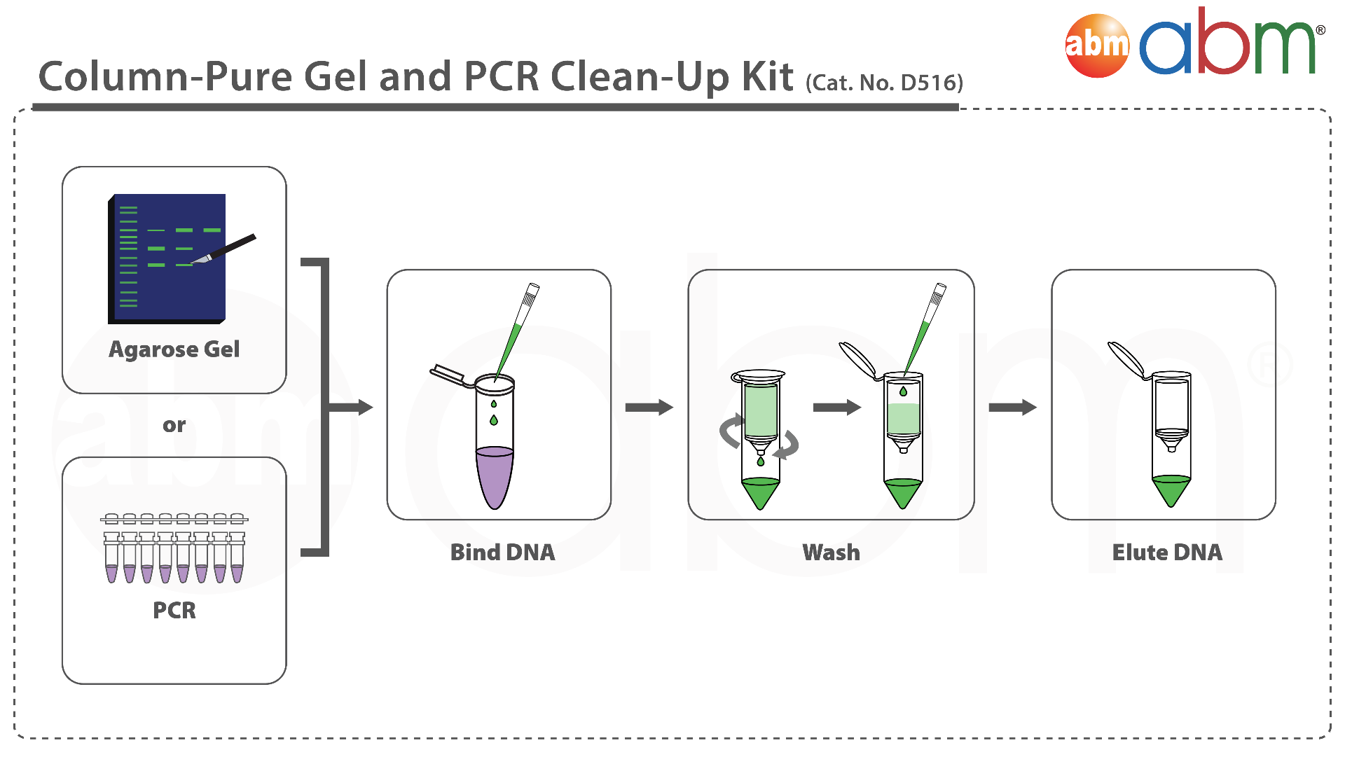 Column-Pure Gel and PCR Clean-Up Kit