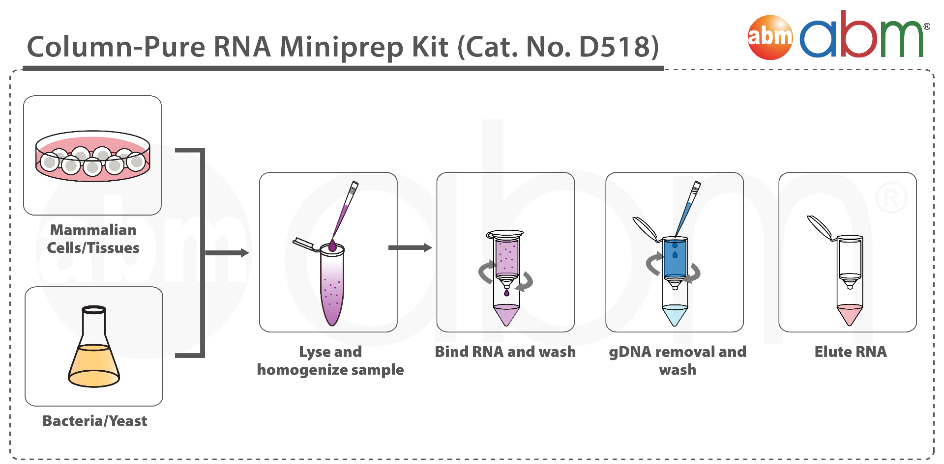 Column-Pure RNA Miniprep Kit