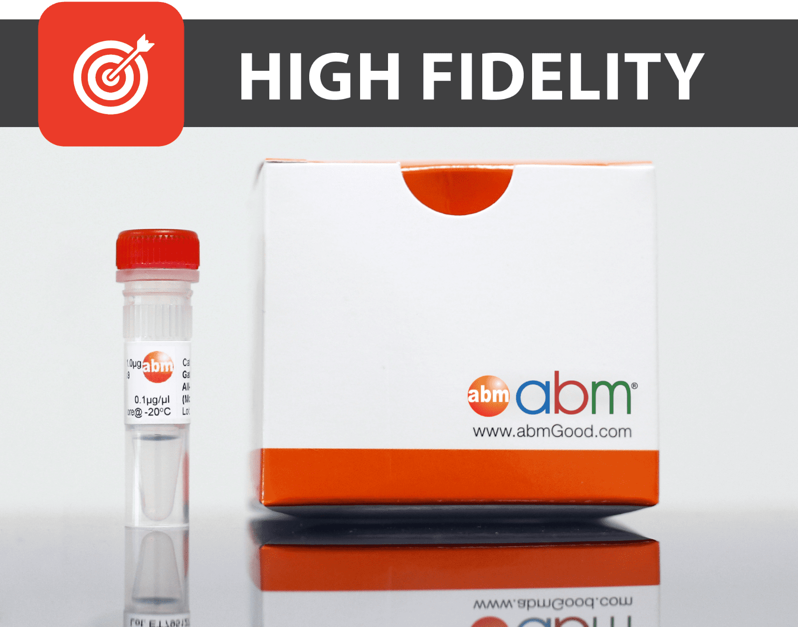 MegaFi™ Fidelity 2X PCR MasterMix