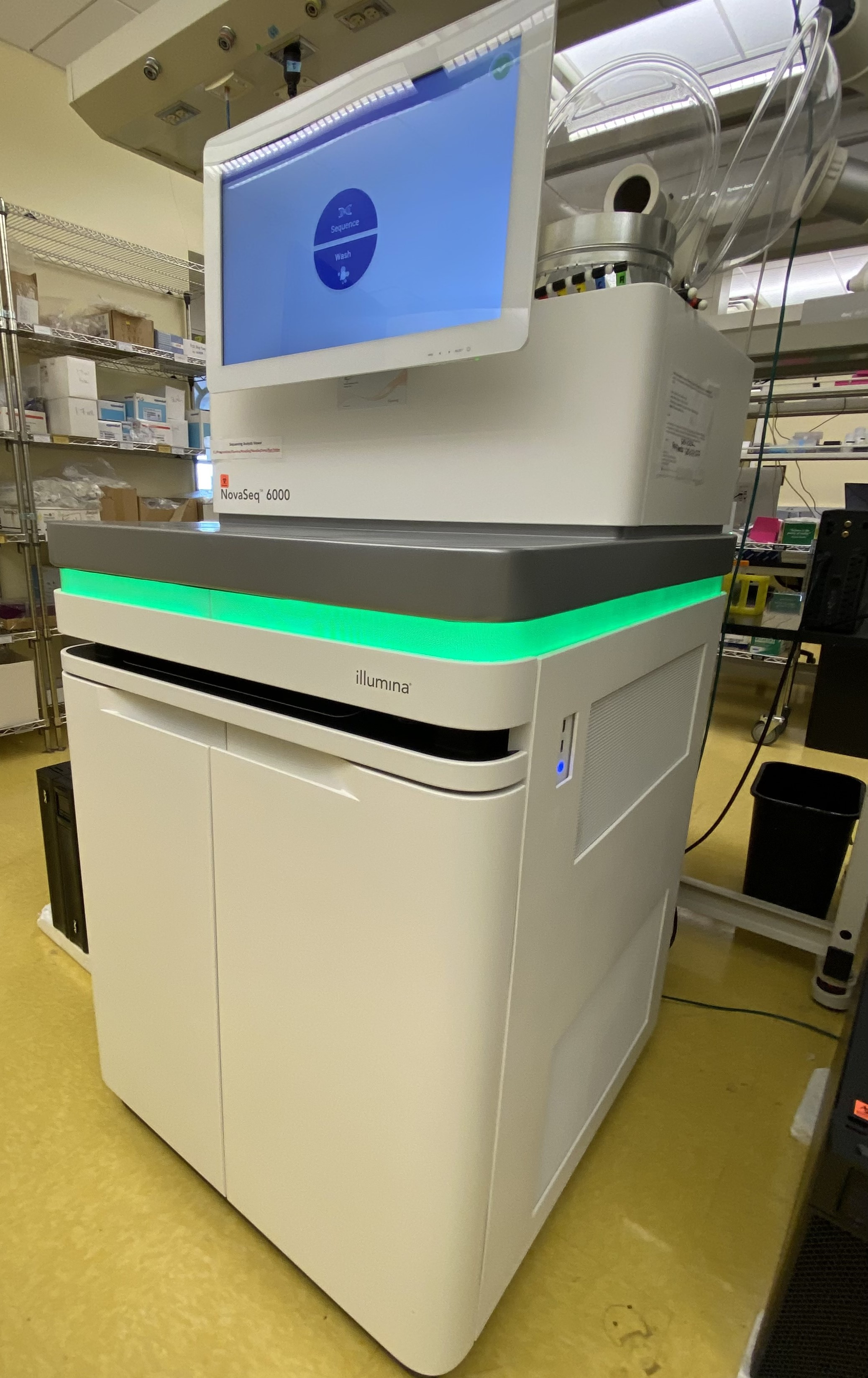 Illumina NovaSeq 6000