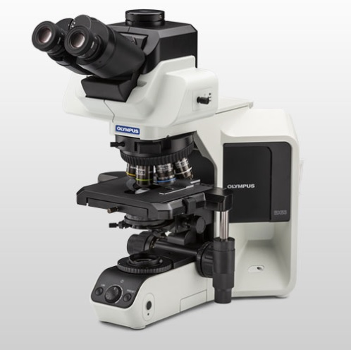 Olympus BX53 LED microscope