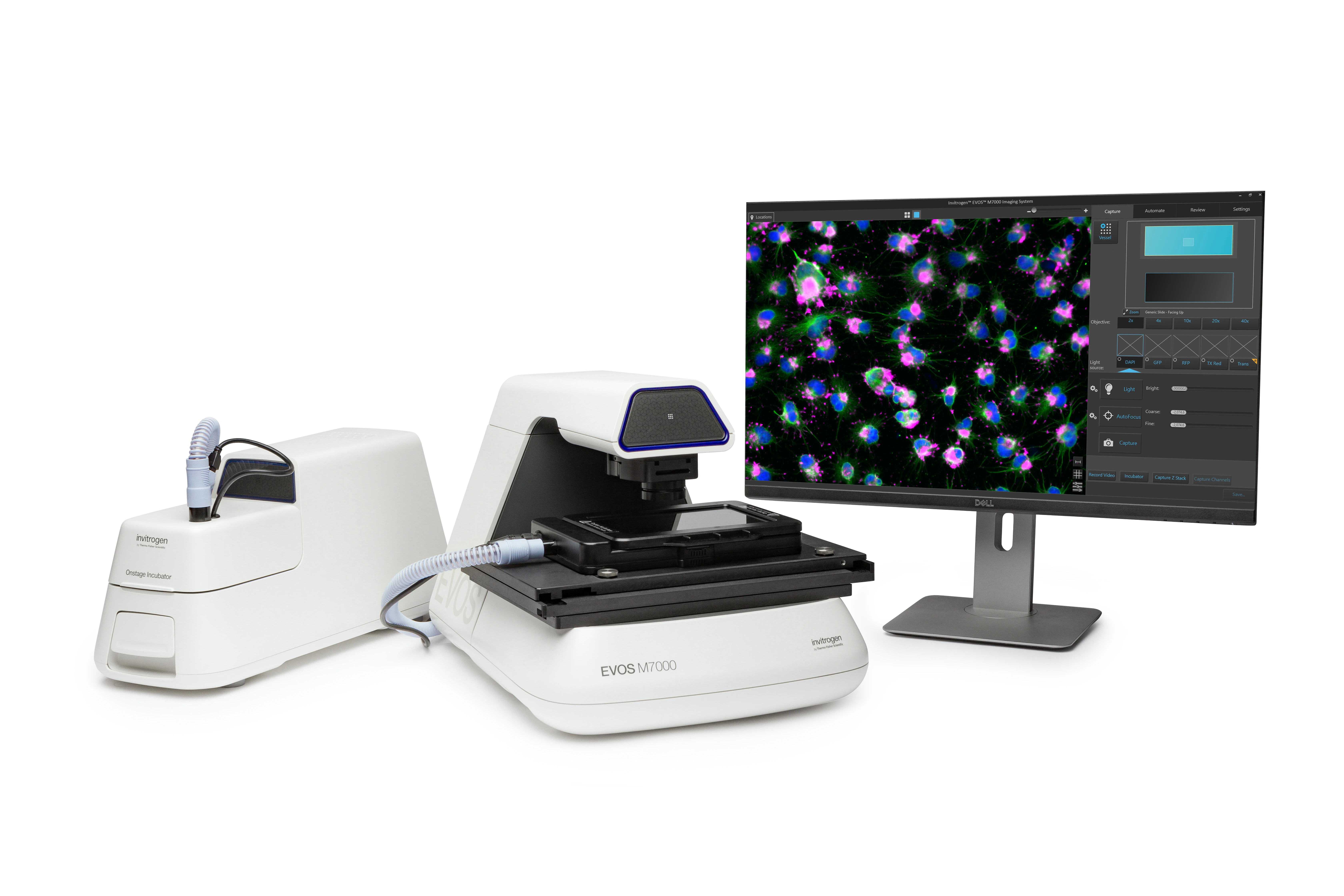 Invitrogen™ EVOS™ M7000 Imaging System