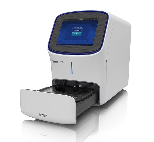 Thermo Fisher Invitrogen iBright CL1500 - Certified with Warranty