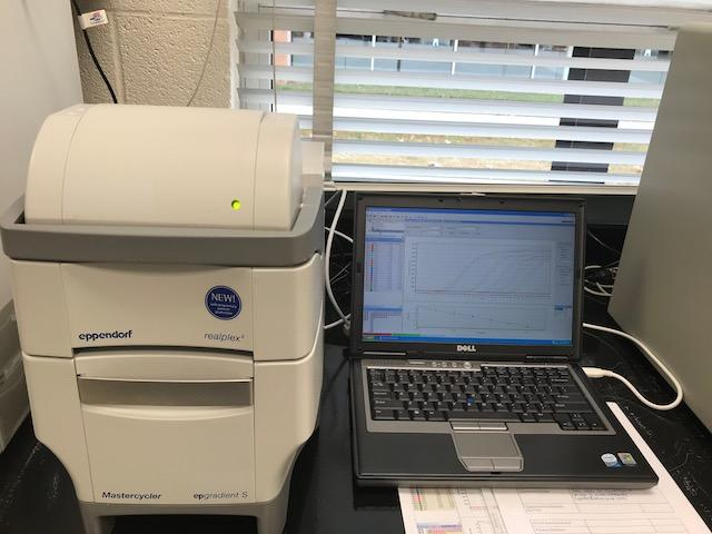Eppendorf RealPlex2 96 well Silver Block 2-Color Real-time PCR Complete System