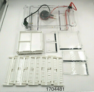 OEM parts for Bio-Rad Sub-Cell GT Horizontal Elect