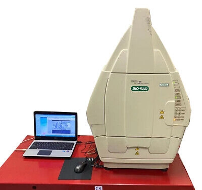 Biorad Gel Doc XR+ Imaging System with Image Lab S