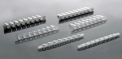 Azzota® 0.2ml PCR 8-strip Tubes, Clear, 125/pk