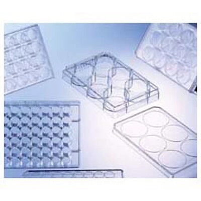 Azzota® Sterile 6 Well Cell Culture Plate (One Uni