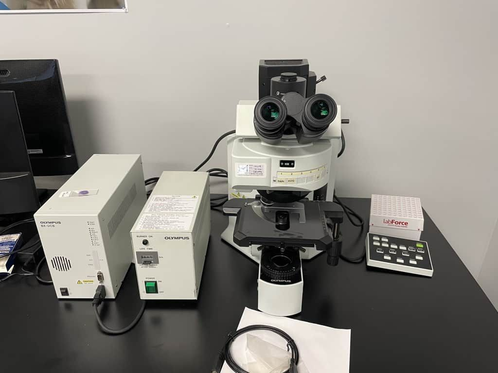 Olympus BX61 Microscope - Excellent