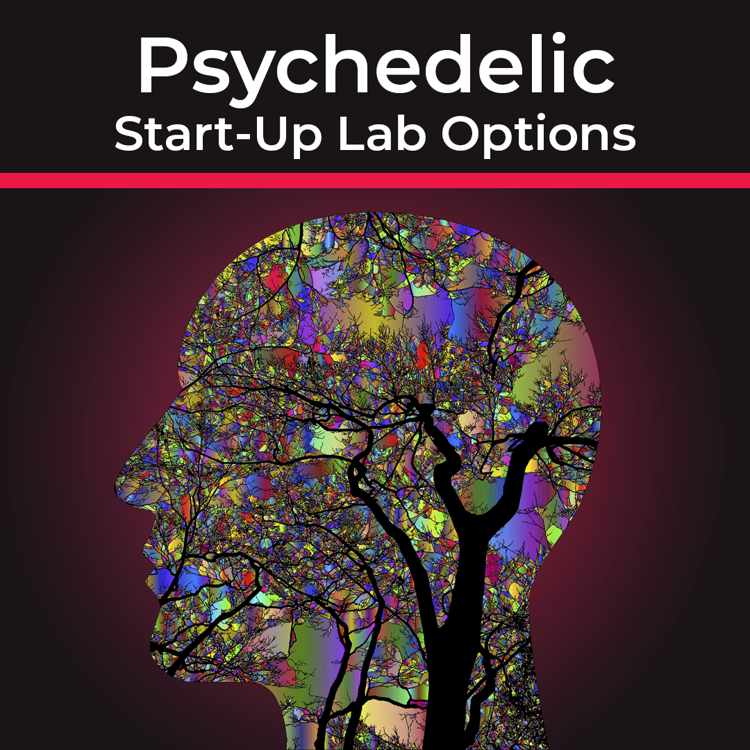 Psychedelic Start-Up Lab Options