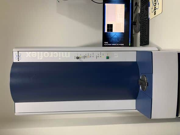 Bruker MALDI TOF Microflex LT/SH Biotyper mass spectrometry