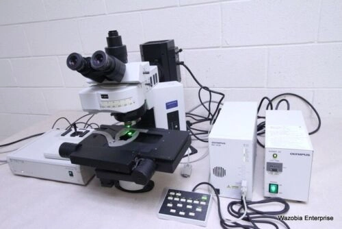 OLYMPUS BX61 FLUORESCENCE MICROSCOPE WITH PRIOR H1