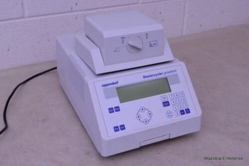 EPPENDORF MASTERCYCLER GRADIENT THERMAL CYCLER 533