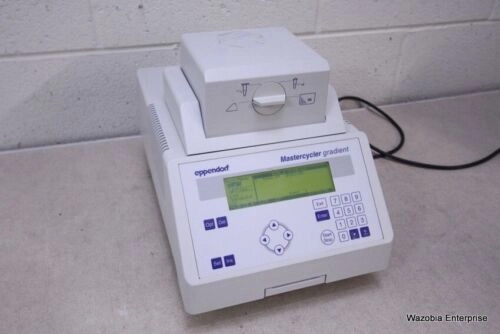 EPPENDORF MASTERCYCLER GRADIENT PCR THERMAL CYCLER