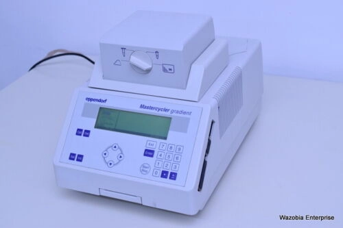 EPPENDORF PCR THERMAL CYCLER 5331