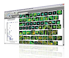 Thermo Scientific™ HCS Studio Cell Analysis Software