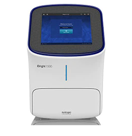 Invitrogen™ iBright™ FL1500 Imaging System