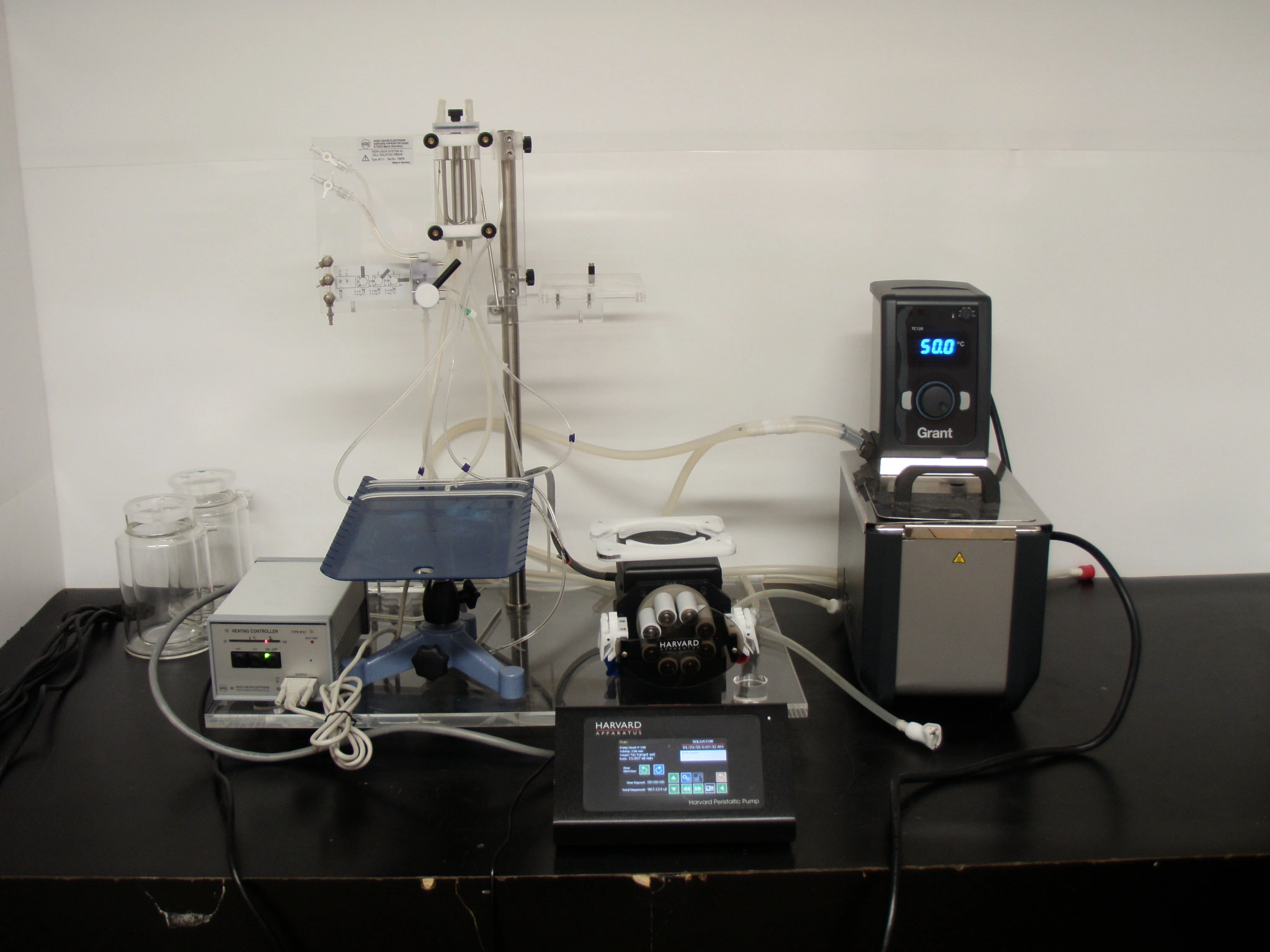 Hugo Sachs Elektronik  Harvard Apparatus GmbH Whole System Type 801, Tested