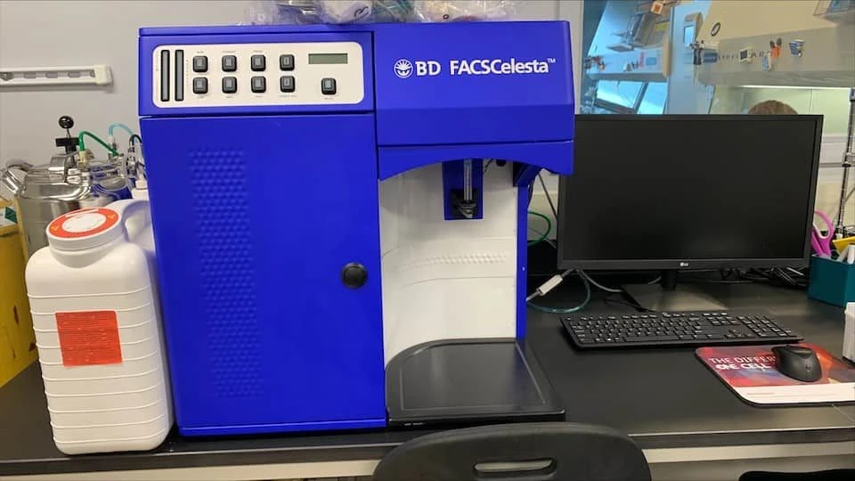 BD FacsCelestra BV Cell Analyzer