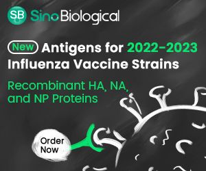 Recombinant Antigens for 2015-2023 Influenza Vaccine Strains