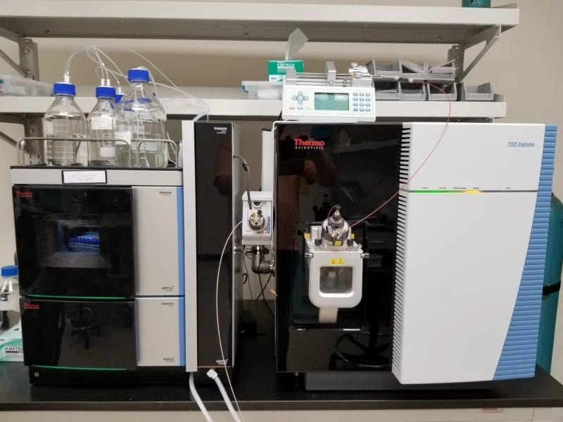 Thermo Fisher TSQ Endura Triple Quadrupole Mass Spectrometer with Vanquish UHPLC