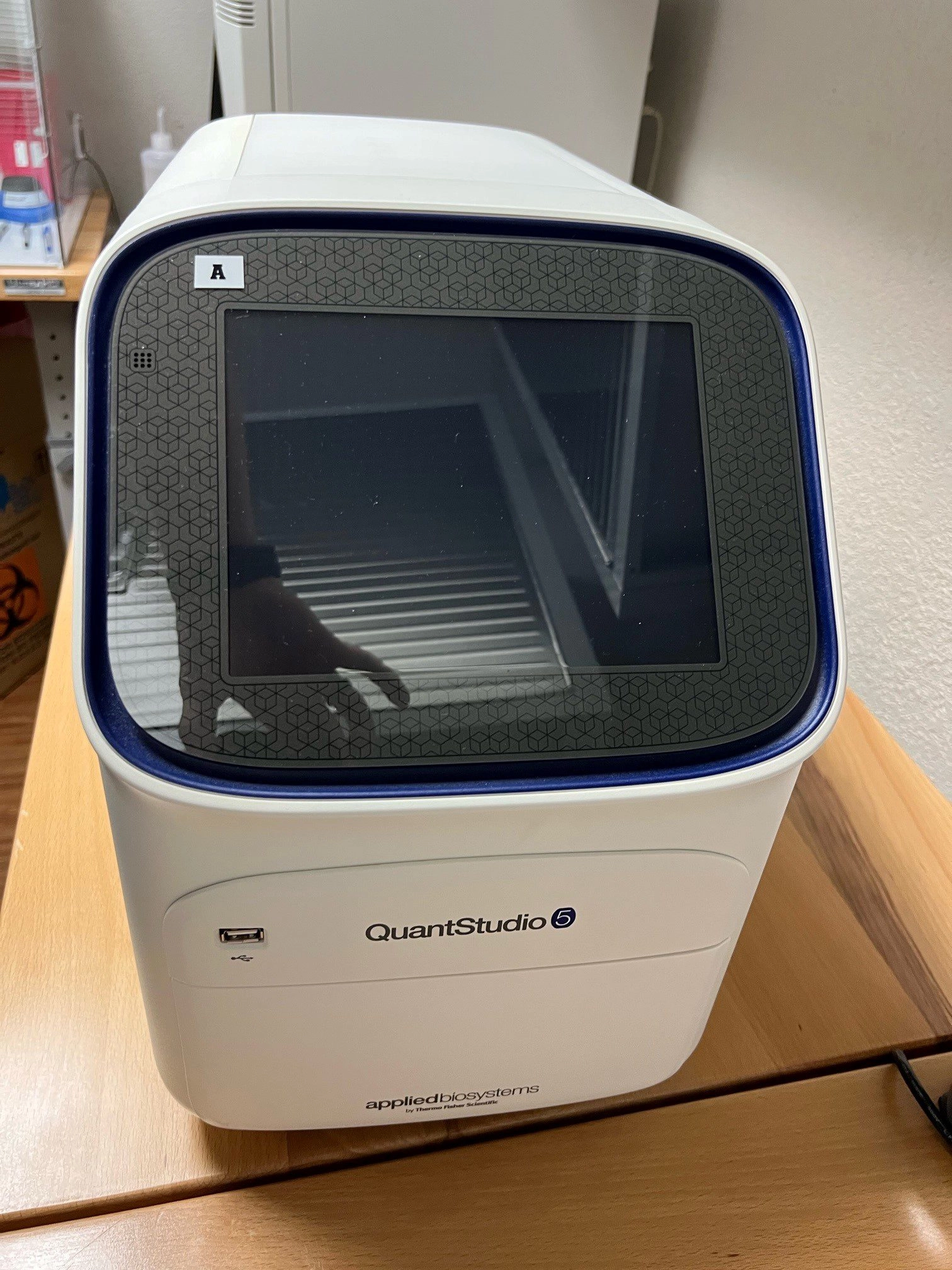 Thermo QuantStudio 5 Real-Time PCR System