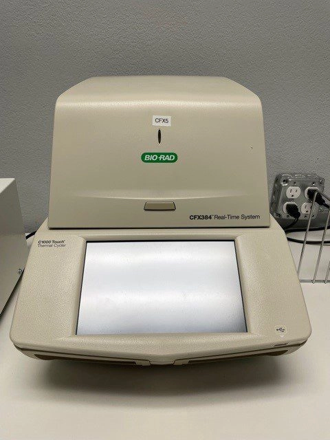 Bio-Rad CFX384 Touch Real-Time PCR