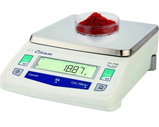 Citizen CG2202 Precision Balance