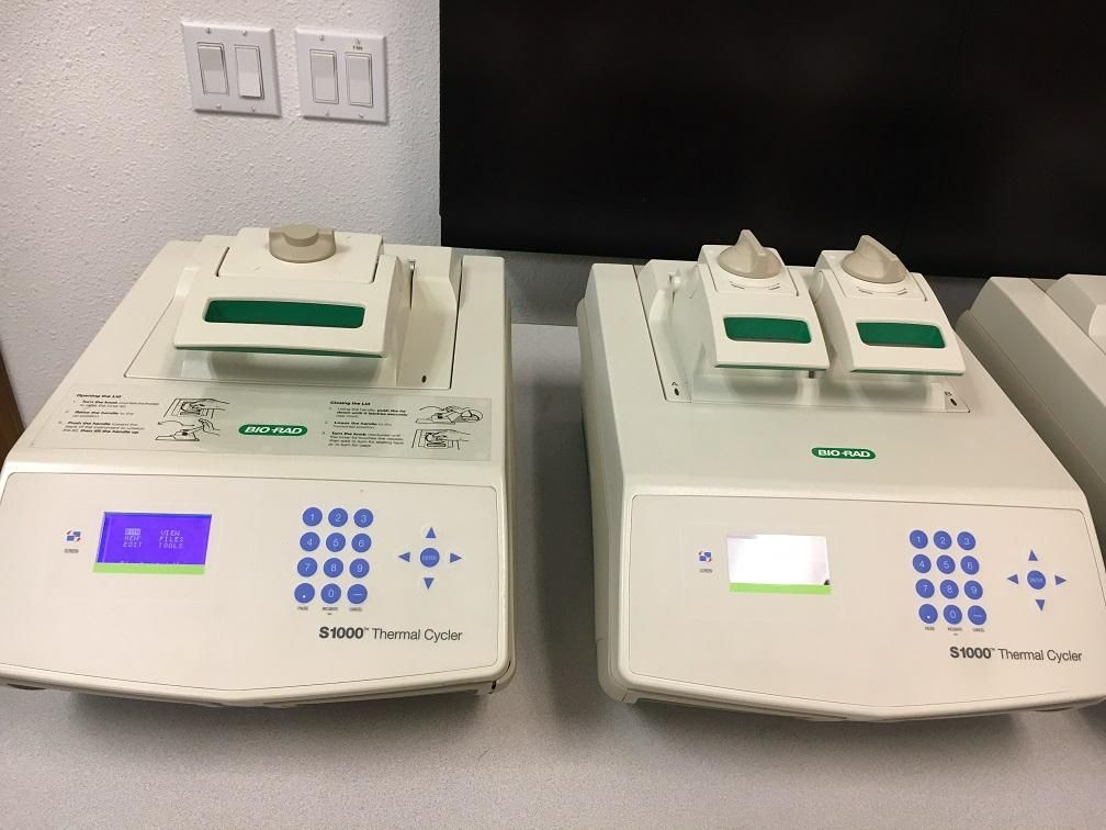 Bio-Rad S-1000 PCR- Certified with Warranty