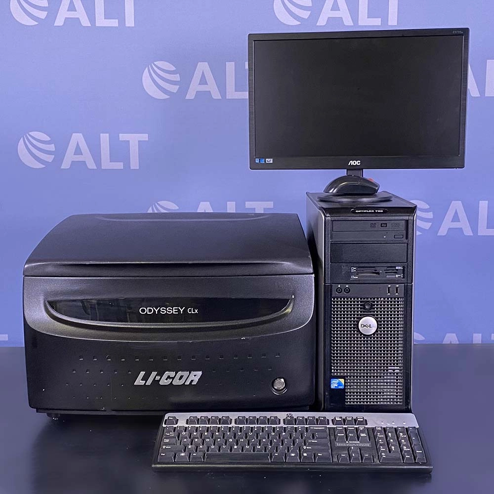 Main Image