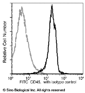 CD45 / PTPRC Antibody (FITC), Mouse MAb