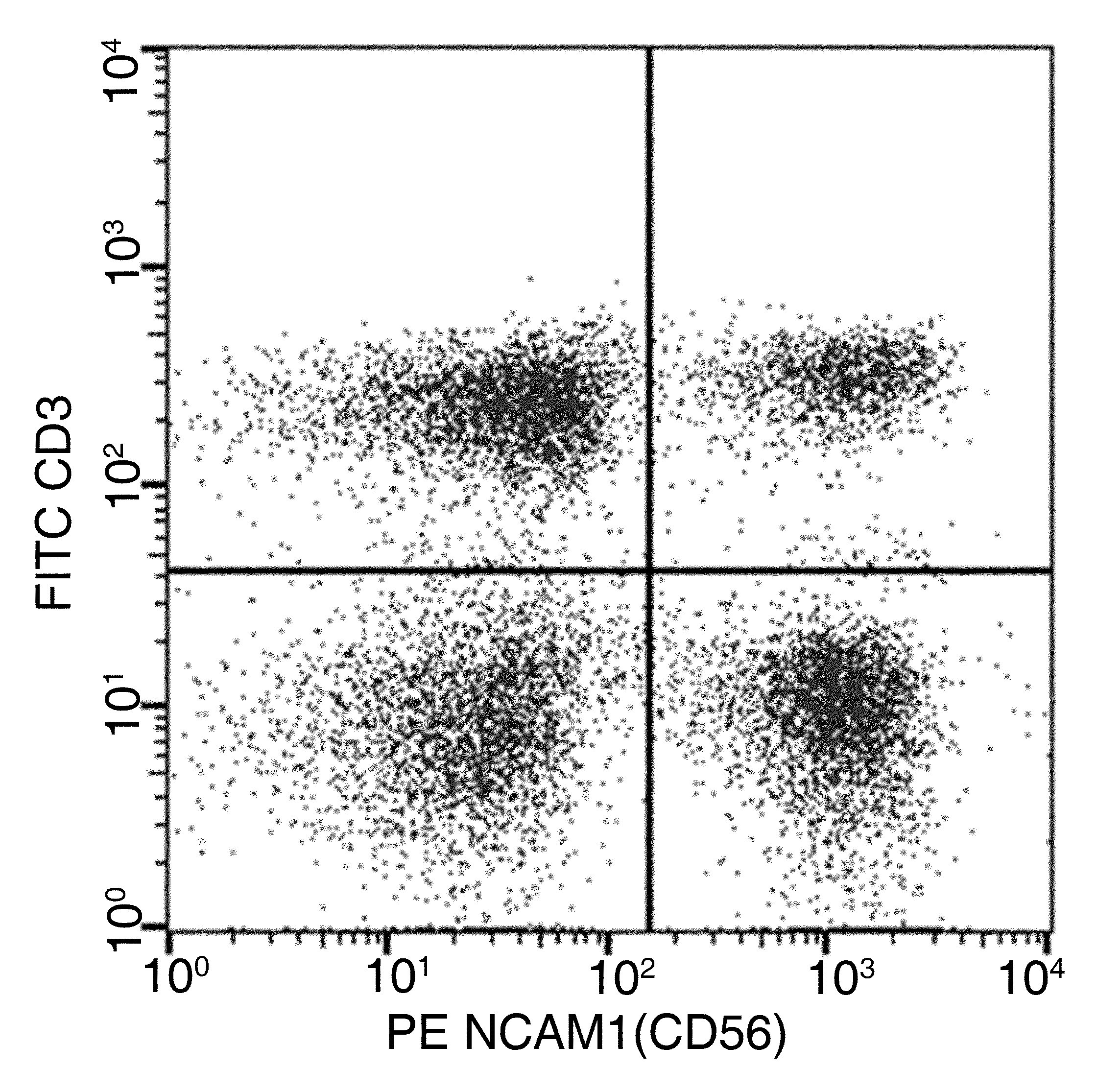 NCAM/CD56 Antibody (PE), Mouse MAb
