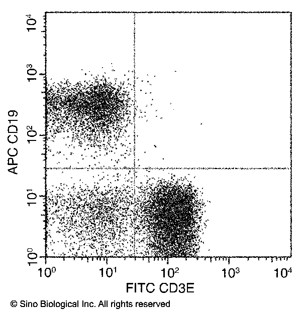CD3e / CD3 epsilon Antibody (FITC), Mouse MAb