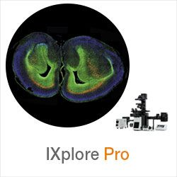 Olympus- IXplore Pro
