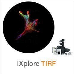 Olympus- IXplore TIRF