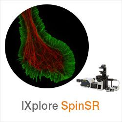 IXplore SpinSR - Confocal Super Resolution Platform