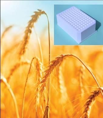 Porvair Sciences 96-Well Toughened Seed Genomics Plate