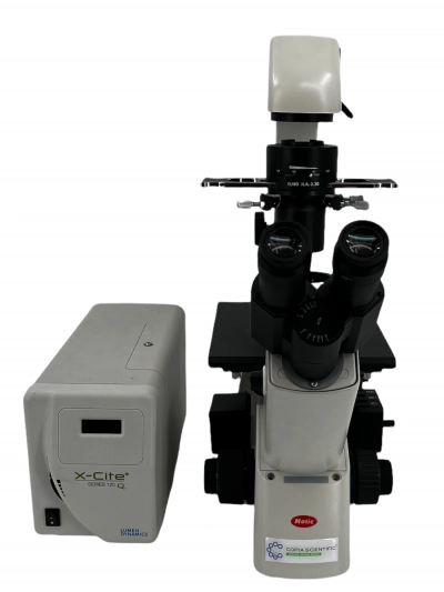 Motic AE31E Inverted Phase Contrast Fluorescence Trinocular Microscope
